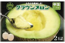＜通年出荷＞クラウンメロン(白等級)中玉　2玉詰【1104742】