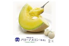 ＜通年出荷＞アローマメロン(小玉) 2玉入【1170105】
