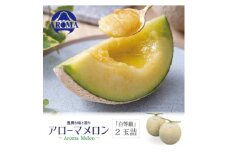 ＜通年出荷＞アローマメロン(白等級) 2玉入【1170107】