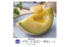 ＜通年出荷＞アローマメロン 白等級(中玉) 1玉入【1170108】