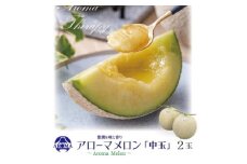 ＜通年出荷＞アローマメロン 白等級(中玉) 2玉入【1170109】