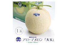 ＜通年出荷＞アローマメロン 白等級(大玉) 1玉入【1170110】