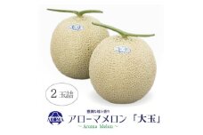 ＜通年出荷＞アローマメロン 白等級(大玉) 2玉入【1170111】