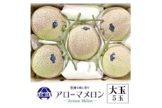 ＜通年出荷＞アローマメロン 白等級(大玉) 5玉入【1170112】
