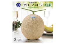 ＜通年出荷＞アローマメロン(山等級) 2玉入＜品格溢れる高級品＞【1170114】