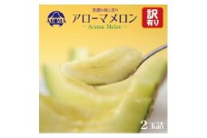 ＜訳あり＞アローマメロン 2玉入＜通年出荷＞【1170118】