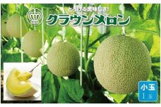 ＜通年出荷＞クラウンメロン(小玉) 1玉【1486509】