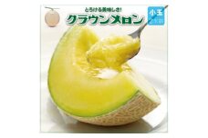 ＜通年出荷＞クラウンメロン(小玉) 2玉詰【1486520】