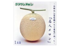 クラウンメロン「名人メロン」 1玉【1486603】