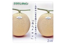 クラウンメロン「名人メロン」 2玉詰【1486606】