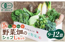 しあわせ野菜畑のシェフLセット　(訳あり規格外の有機野菜を一部使用)【1608189】