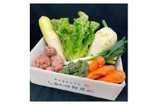 ＜毎月定期便＞＜フードロス対応・規格外野菜利用＞　オーガニック野菜　シェフSセット全12回【4003730】