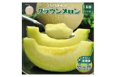 ＜毎月定期便＞クラウンメロン(白等級) 1玉 全12回【4012623】