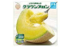 ＜毎月定期便＞クラウンメロン(白等級) 小玉1玉 全3回【4012651】