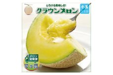 ＜毎月定期便＞クラウンメロン(白等級) 小玉1玉 全12回【4012653】