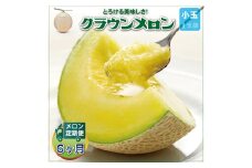 ＜毎月定期便＞クラウンメロン(白等級) 小玉1玉 全6回【4012652】
