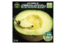＜毎月定期便＞クラウンメロン(白等級) 中玉1玉 全3回【4012654】