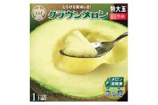 ＜毎月定期便＞クラウンメロン(白等級) 特大玉 1玉 全3回【4012657】