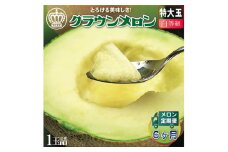 ＜毎月定期便＞クラウンメロン(白等級) 特大玉 1玉 全6回【4012658】