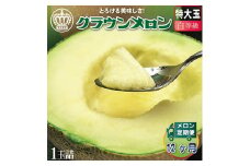 ＜毎月定期便＞クラウンメロン(白等級)特大玉 1玉 全12回【4012659】