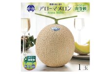 ＜毎月定期便＞アローマメロン(山等級) 1玉 全3回【4012998】