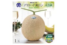 ＜毎月定期便＞アローマメロン(山等級) 1玉 全12回【4013000】