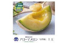 ＜毎月定期便＞アローマメロン(白等級) 1玉 全3回【4013001】