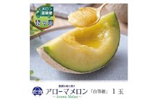 ＜毎月定期便＞アローマメロン(白等級) 1玉 全12回【4013003】