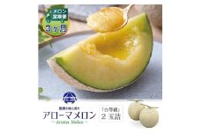 ＜毎月定期便＞アローマメロン(白等級) 2玉 全3回【4013005】