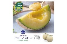 ＜毎月定期便＞アローマメロン(白等級) 2玉 全12回【4013006】
