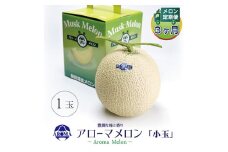 ＜毎月定期便＞アローマメロン(小玉) 1玉 全3回【4013007】
