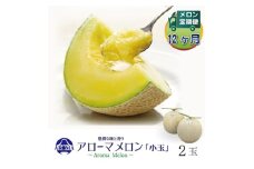 ＜毎月定期便＞アローマメロン(小玉) 2玉 全12回【4013012】