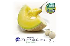 ＜毎月定期便＞アローマメロン(小玉) 2玉 全6回【4013011】