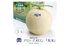 ＜毎月定期便＞アローマメロン白等級(大玉) 1玉 全6回【4013015】