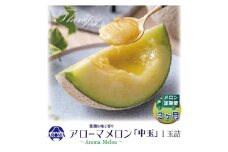 ＜毎月定期便＞アローマメロン白等級(中玉) 1玉 全3回【4013016】