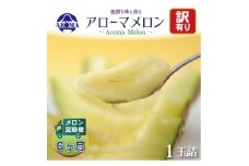 ＜毎月定期便＞＜訳あり＞アローマメロン 1玉 全6回【4013171】