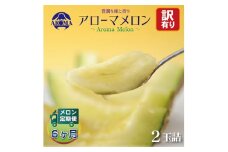 ＜毎月定期便＞＜訳あり＞アローマメロン 2玉 全6回【4013174】