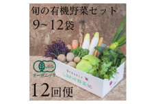 ＜毎月定期便＞しあわせ野菜畑の有機野菜　Lセット　(安心の有機JAS認証　オーガニック野菜)全12回【4066009】