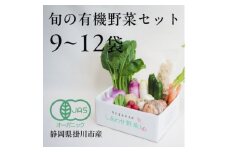 ＜毎月定期便＞しあわせ野菜畑の有機野菜　Lセット　(安心の有機JAS認証　オーガニック野菜)全6回【4066010】
