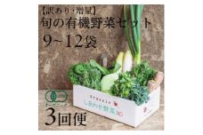 ＜毎月定期便＞しあわせ野菜畑のシェフLセット(訳あり規格外の有機野菜を一部使用)全3回【4066424】