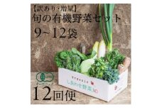 ＜毎月定期便＞しあわせ野菜畑のシェフLセット　(訳あり規格外の有機野菜を一部使用)全12回【4066429】