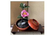 ＜冬 わびすけつばき＞四季を彩る創作草もの盆栽(工芸品)～工房椿【1599117】