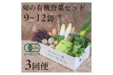 ＜毎月定期便＞しあわせ野菜畑の有機野菜　Lセット　(安心の有機JAS認証　オーガニック野菜)全3回【4066011】