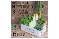 ＜毎月定期便＞しあわせ野菜畑のシェフMセット　(訳あり規格外の有機野菜を一部使用)全6回【4066016】