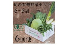＜毎月定期便＞しあわせ野菜畑の有機野菜　Sセット　(安心の有機JAS認証　オーガニック野菜)全6回【4066004】