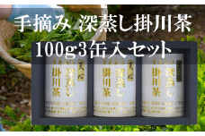 手摘み 深蒸し掛川茶 天心 100g×3缶セット 箱入包装【1619234】