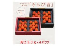 ＜先行受付＞いちご＜きらぴ香＞1箱 (1箱4パック入り 約250g×4)【1634075】