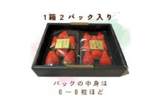 ＜先行受付＞いちご＜きらぴ香＞1箱 (1箱2パック入り 約250g×2)【1634076】