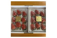 ＜先行受付＞いちご＜きらぴ香＞1箱 (1箱2パック入り 約450g×2)【1638885】