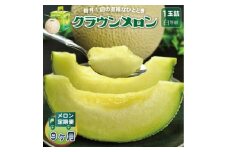 ＜毎月定期便＞クラウンメロン(白等級) 1玉全9回【4069724】